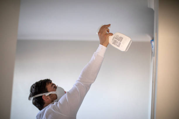 Best Mold Testing and Inspection Services in Saline, MI