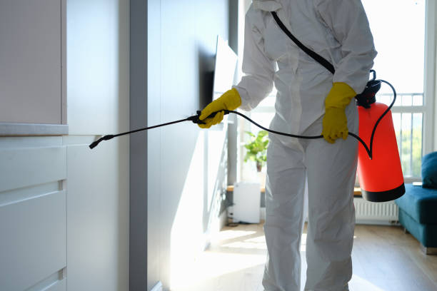 Best DIY Mold Remediation Support Services in Saline, MI