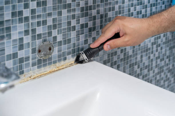 Best Residential Mold Remediation in Saline, MI